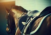 Sporting, Games Equipment image